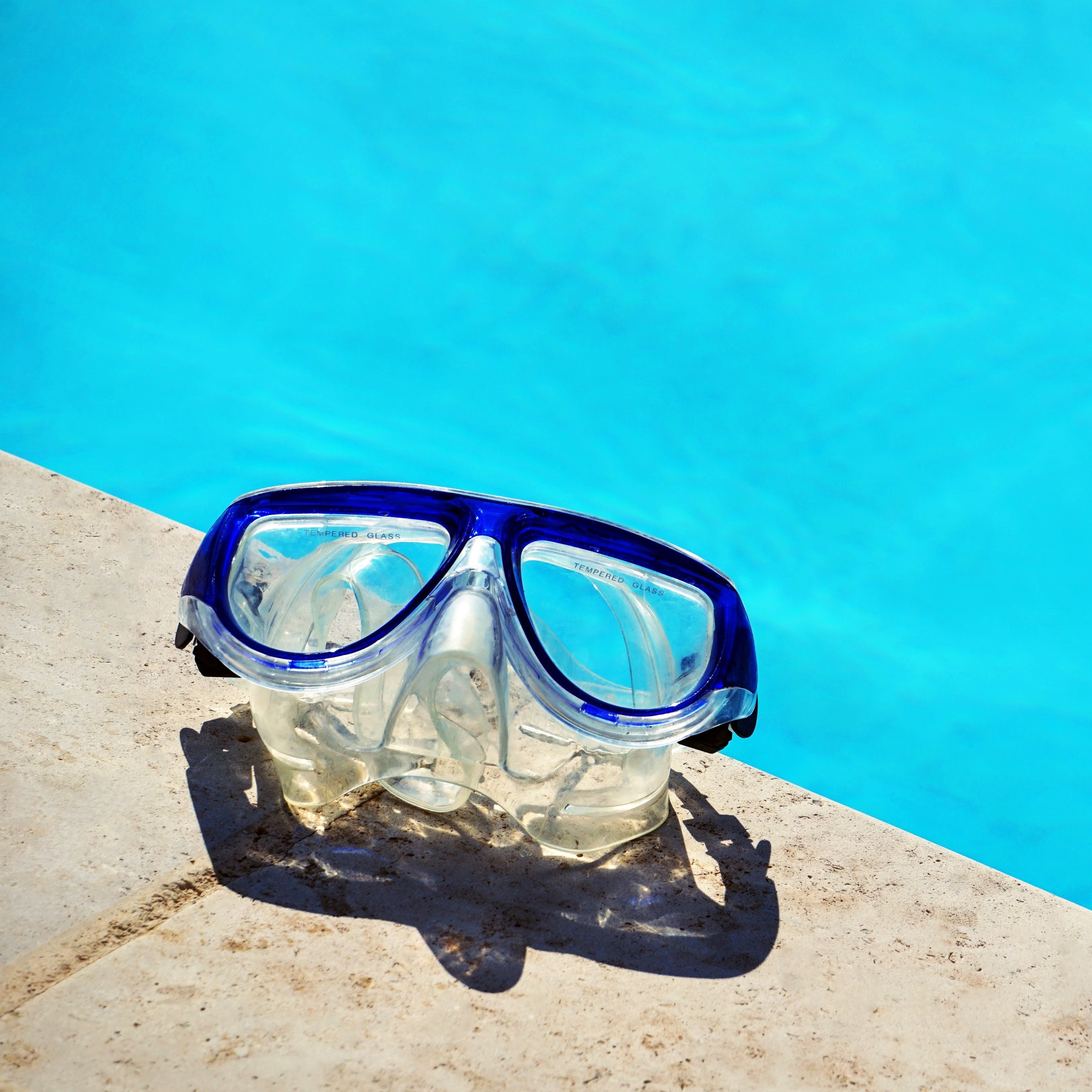 Where can I Find Company Information and Policies?